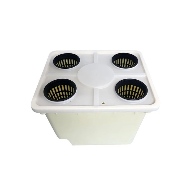 info-1-1 Dutch Bucket Hydroponic System factory